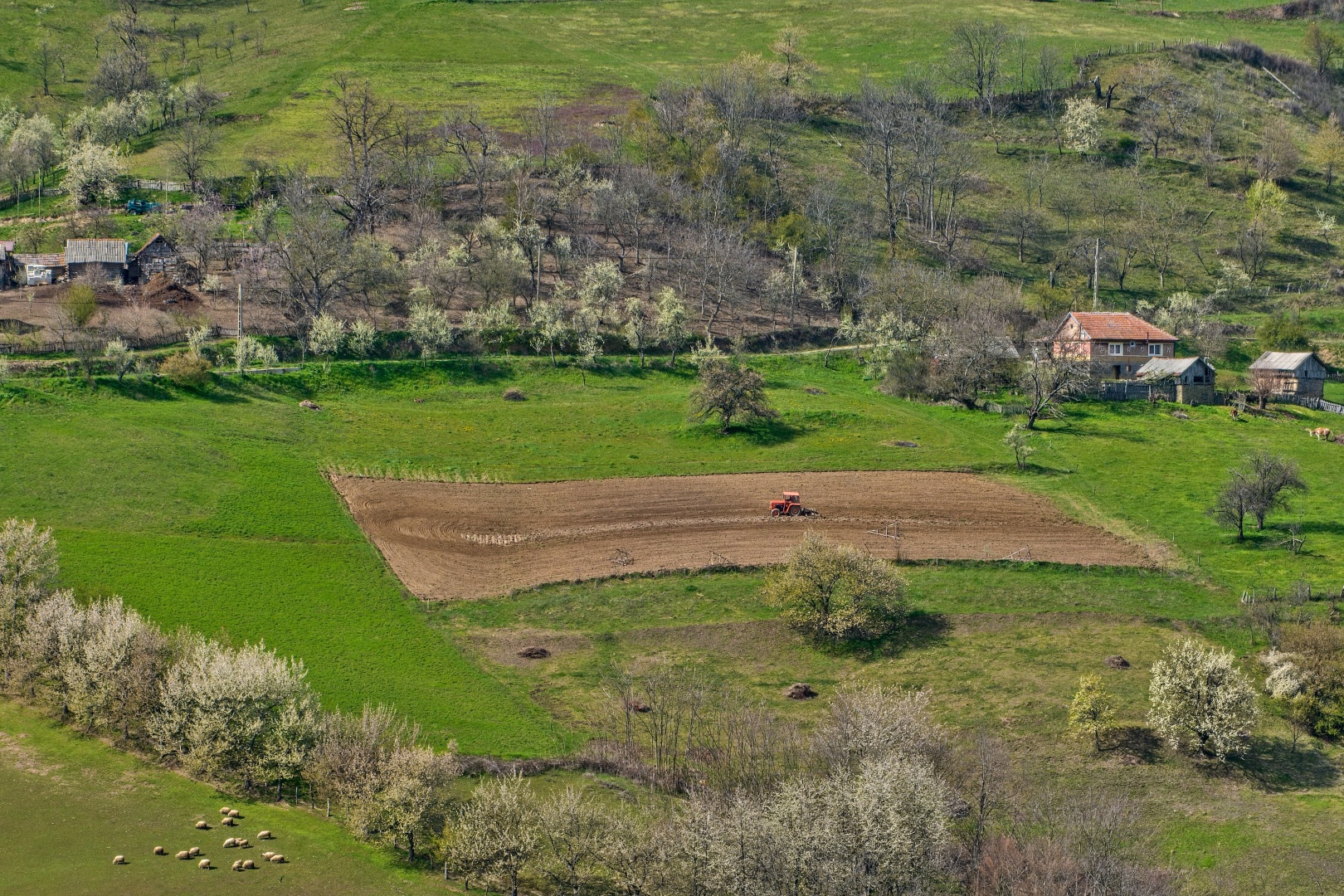 Z Gerníku do Rovenska_na cestě (093)