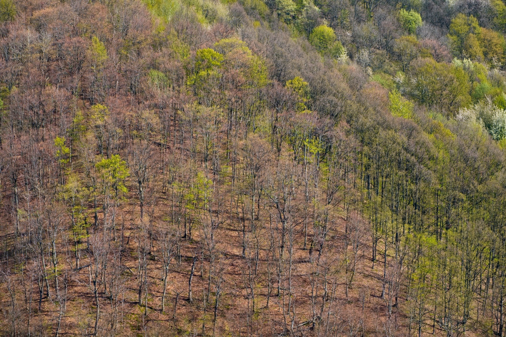 Z Gerníku do Rovenska_na cestě (094)