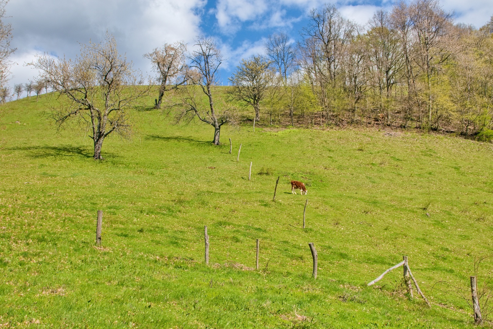 Z Gerníku do Rovenska_na cestě (095)