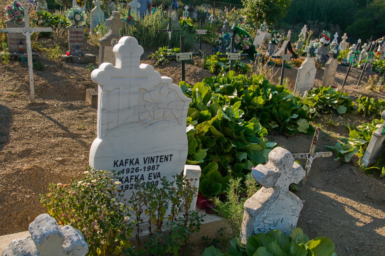 2024_08_13_Banát_Bígr_008