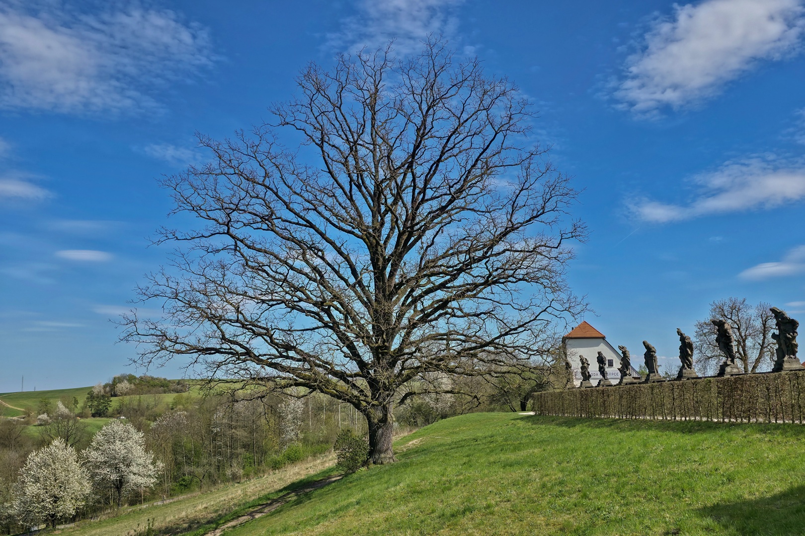 Kuks_003