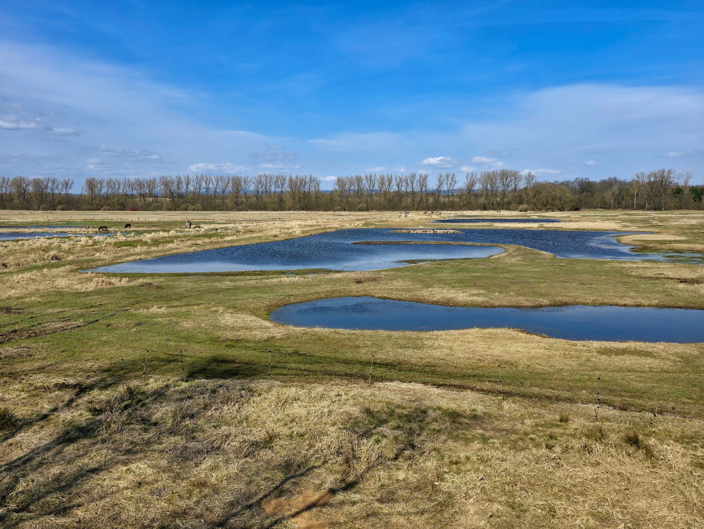 2026_03_14_Josefovské louky_002