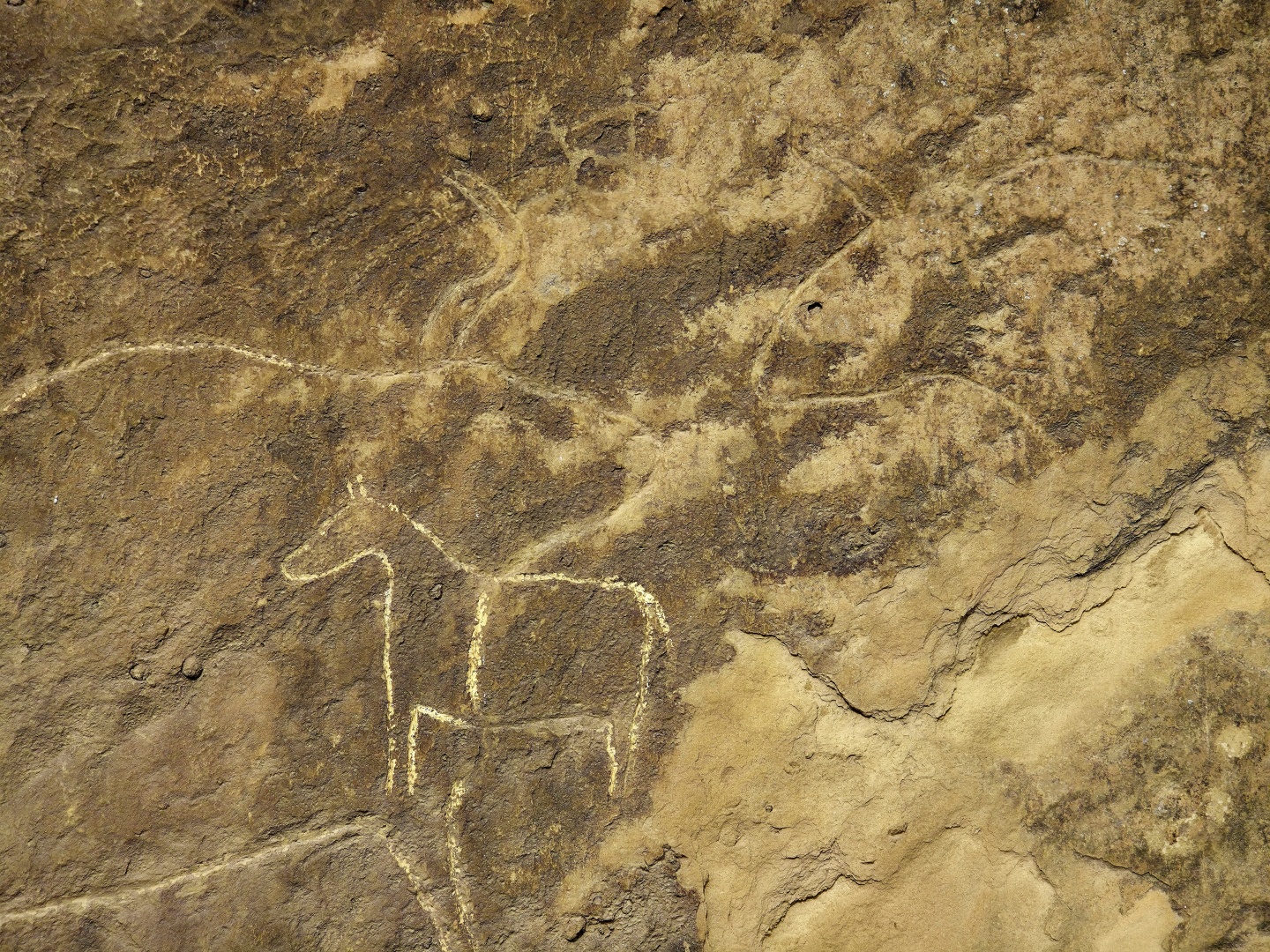 2026_02_03_Qobustan_skalní rytiny_015