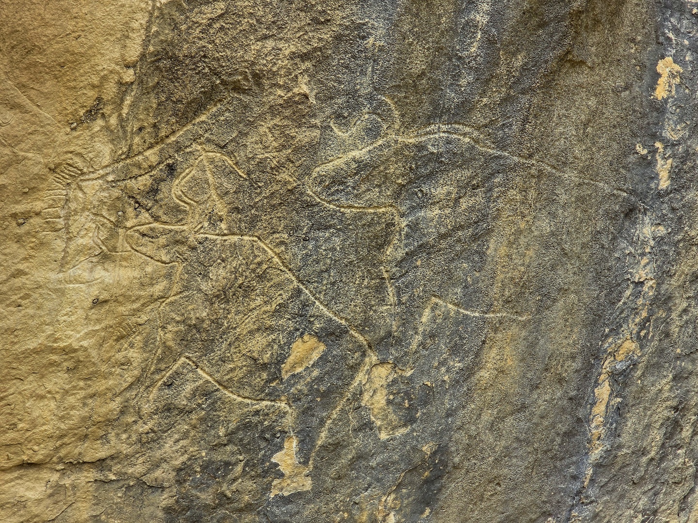 2026_02_03_Qobustan_skalní rytiny_020