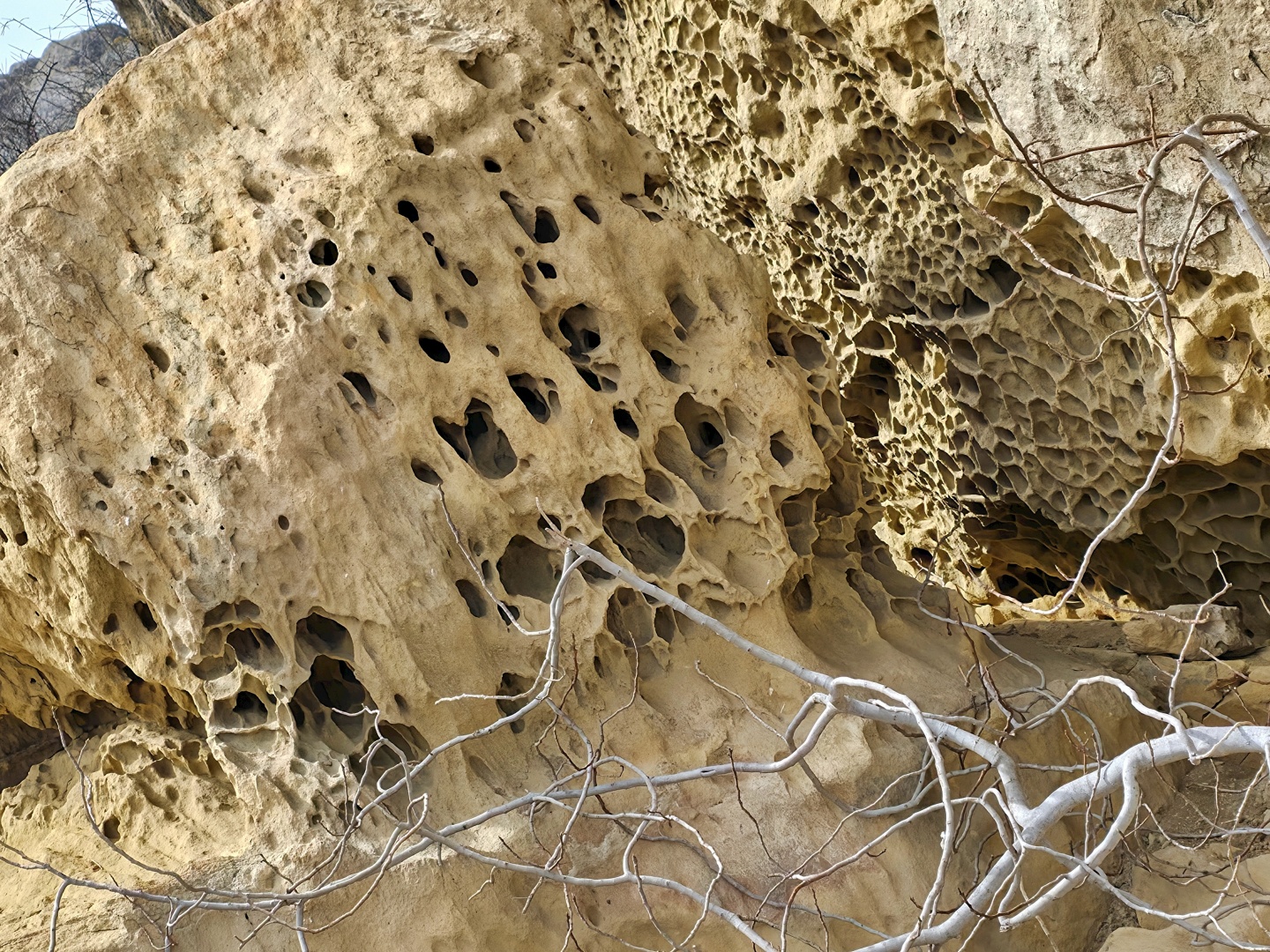 2026_02_03_Qobustan_skalní rytiny_022
