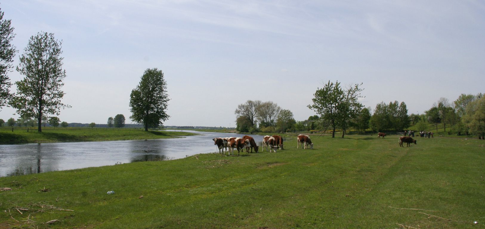 Biebrzansky_park_narodowy (10)