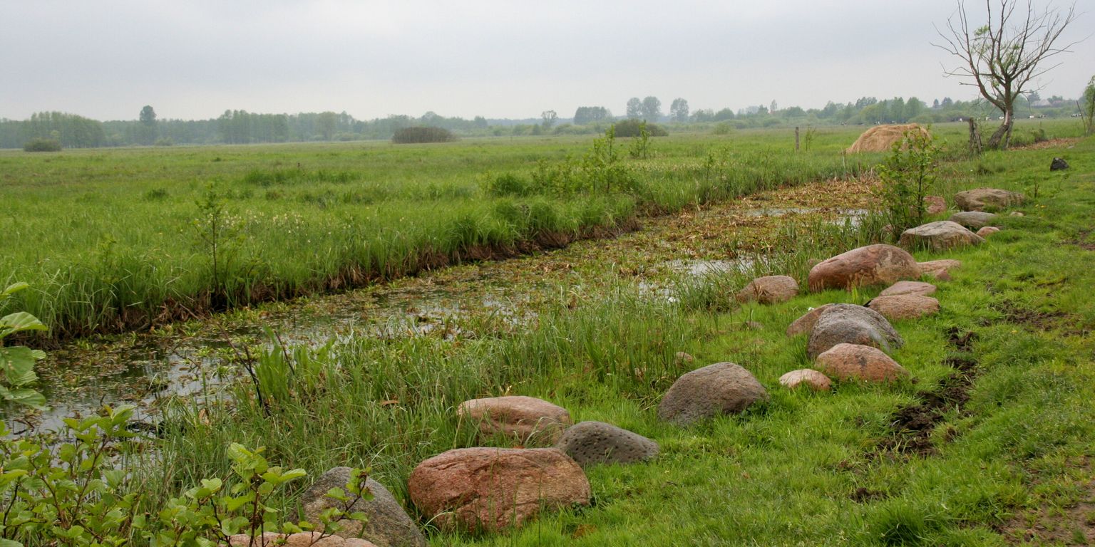 Biebrzansky_park_narodowy (11)