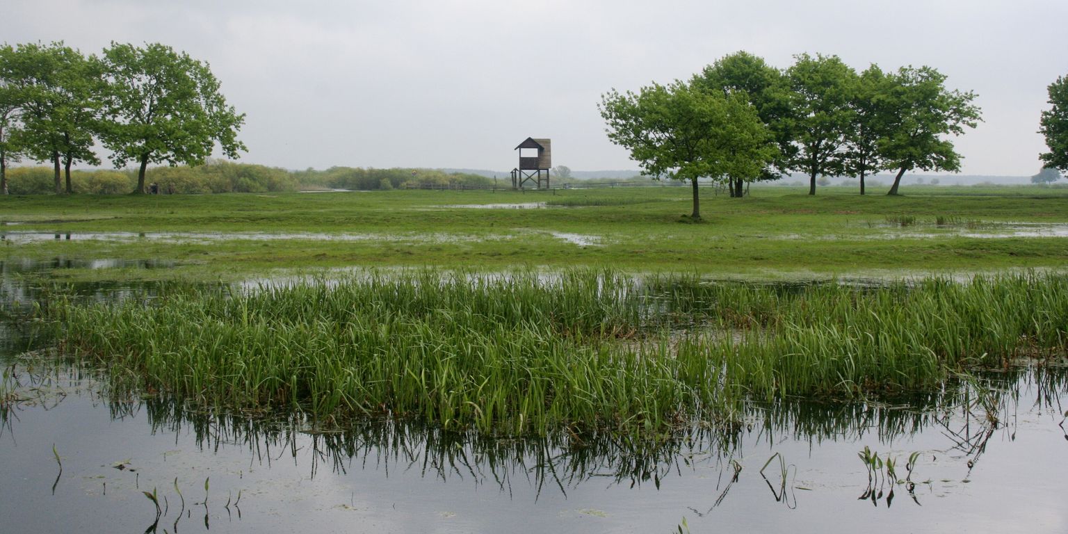 Biebrzansky_park_narodowy (12)