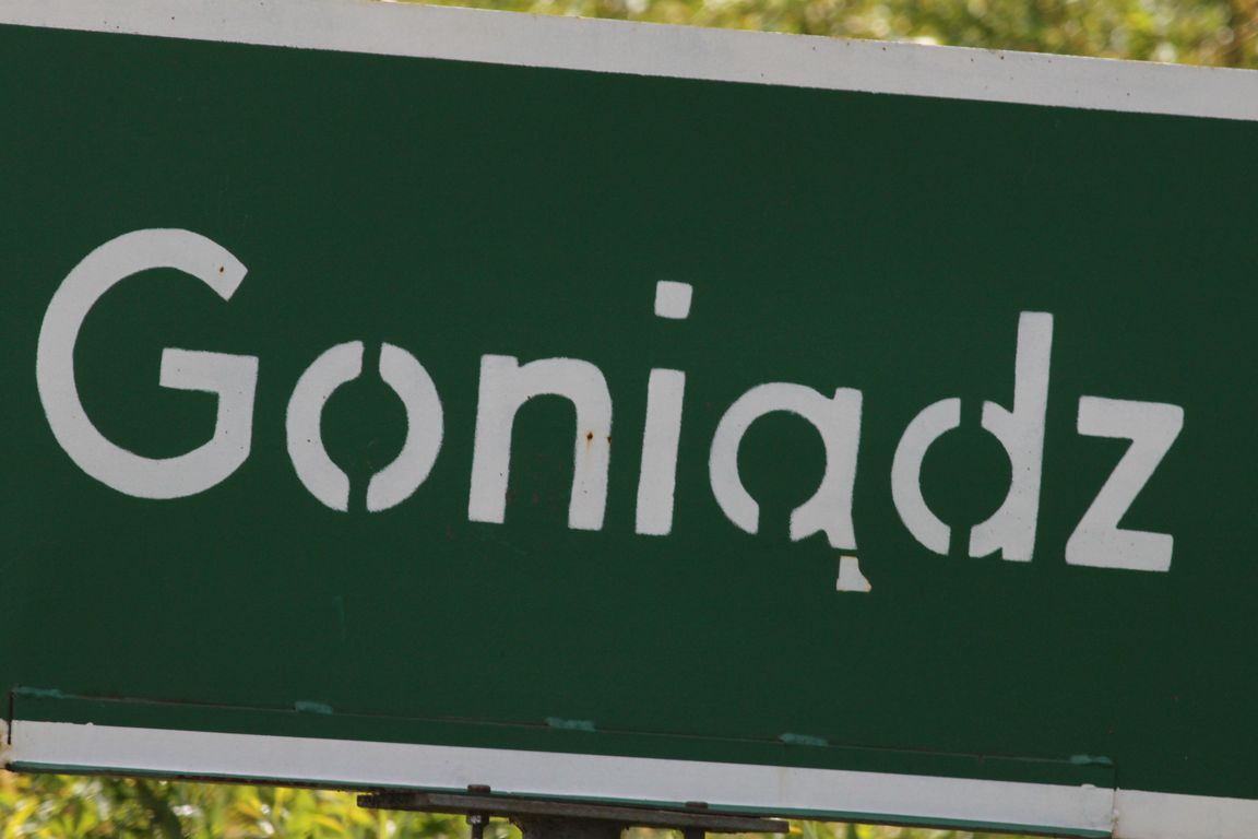 Goniadz