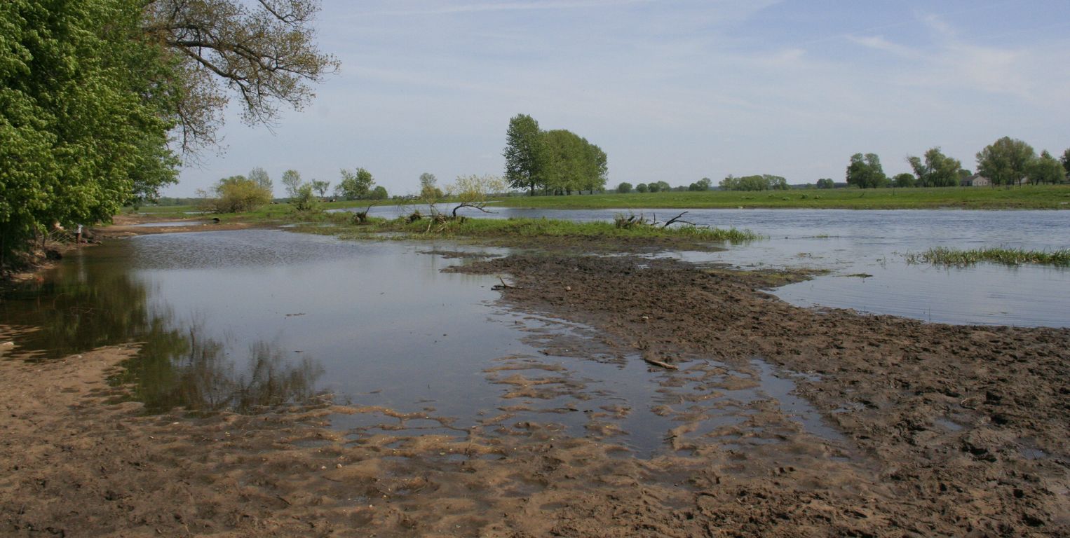 Biebrzansky_park_narodowy (9)