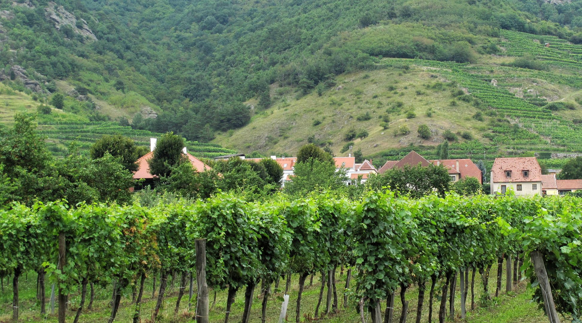 Durnstein-Wachau-000