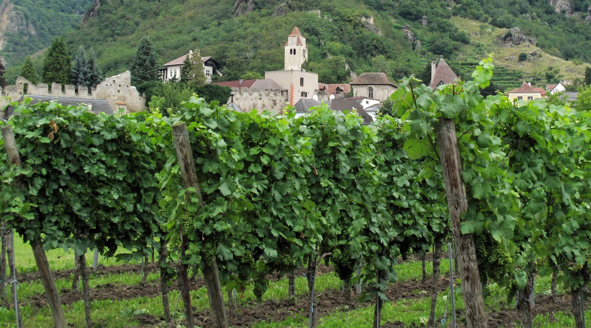 Durnstein-Wachau-001