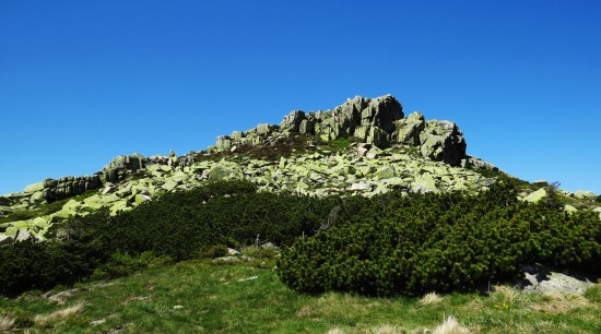 Violík 1472 m. n. m.